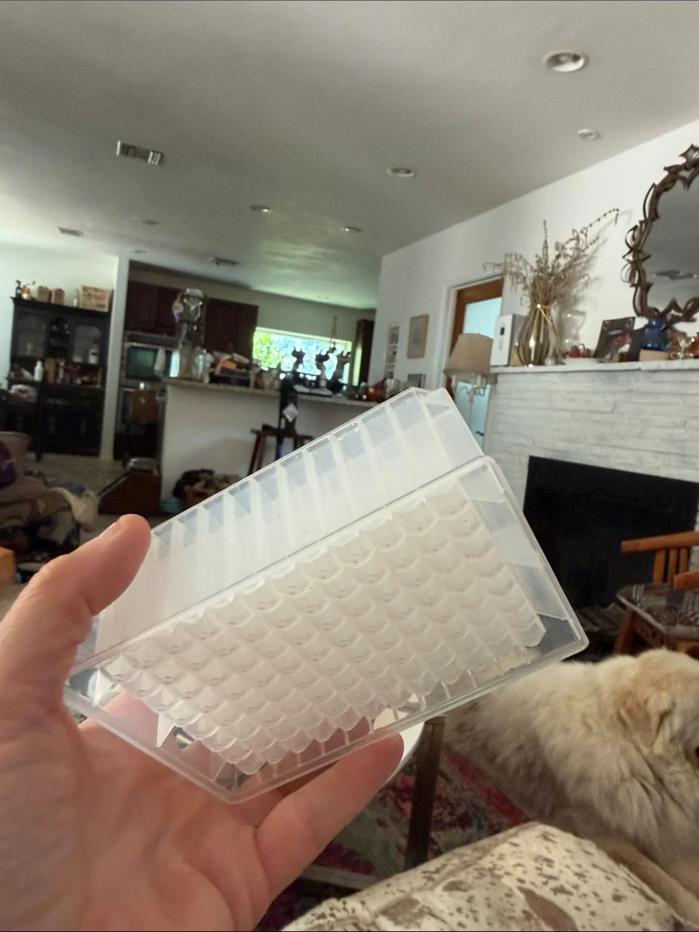 N/A clear plastic